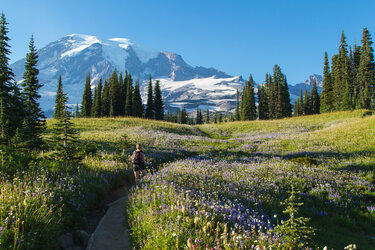 Washington-state-trail.jpeg