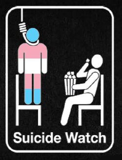 suicide watch.jpg
