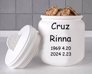 THE JAR.jpg