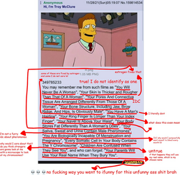 1707063202293.png