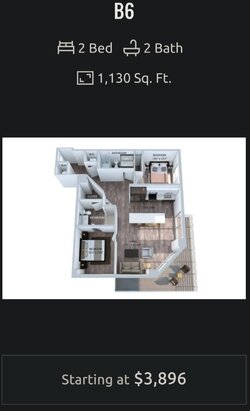 B6.jpg