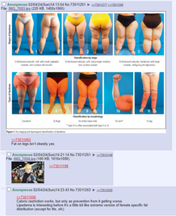 1707242003892.png