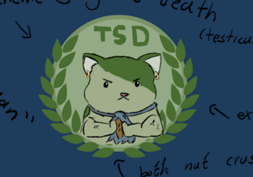 1707264024955.png