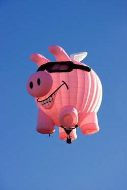 pig-flying-balloon-joe-myeress.jpg