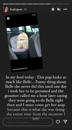 1707287406631.png