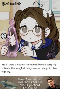IMG_3100.jpeg