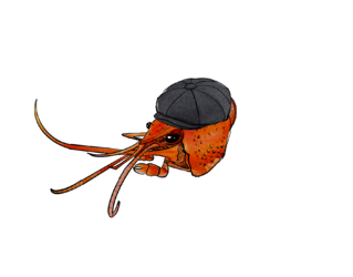 IMG_0096.png
