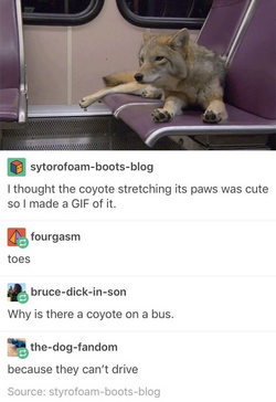 1707375152975.png