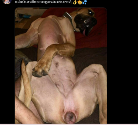 Screenshot 2024-02-08 083321.png