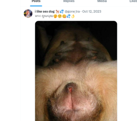 Screenshot 2024-02-08 083140.png