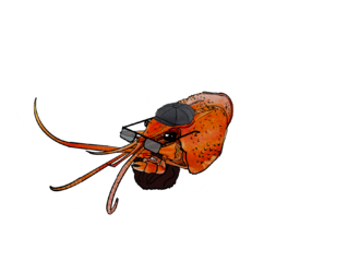 Untitled_Artwork.png