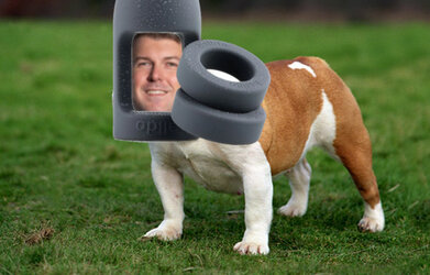 balldog.jpg