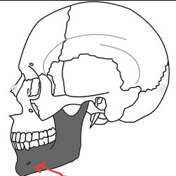 425853053_10161094205084004_8816695358787617216_n.jpg