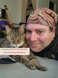 CatIfOnly - Copy.jpg