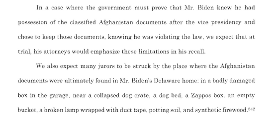 biden memory 2.png