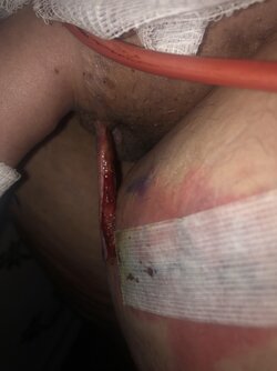 7iv7204xgghc1.jpg