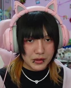 1707442464266.png