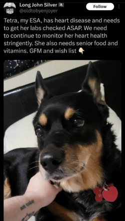 Screenshot_20240208-211359.png