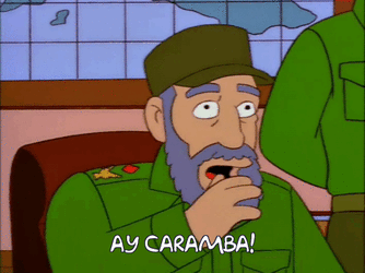 aycaramba.gif