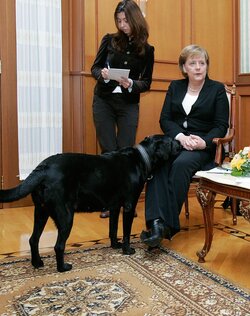 merkel.jpg