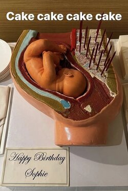 Britains-richest-artist-Damien-Hirst-58-gives-girlfriend-cake-in.jpg