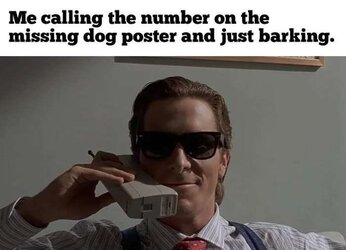 bark.jpg