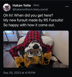 IMG_2324.jpeg