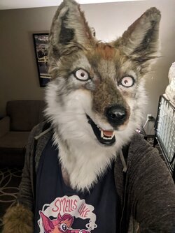 IMG_2328.jpeg