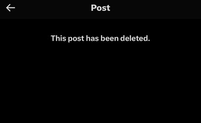 IMG_2341.jpeg