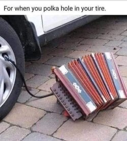 FB_IMG_1707514047477.jpg