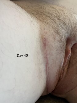 3ithkmgogmhc1.jpg