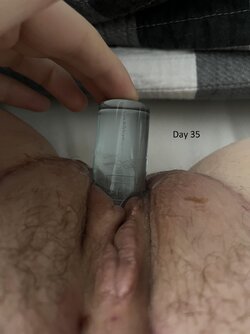 zscdwcgogmhc1.jpg