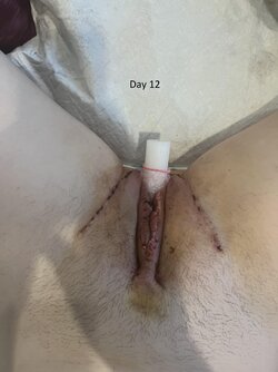 goc4l5gogmhc1.jpg