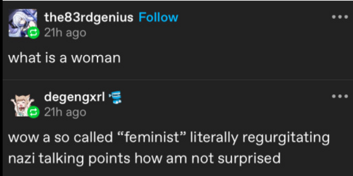 socalledfeminist.png