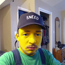 sneedman.png