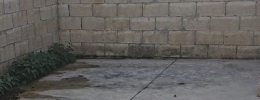1707529160806.png
