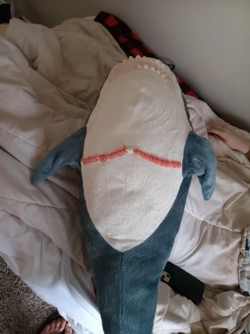 1707529650082.png