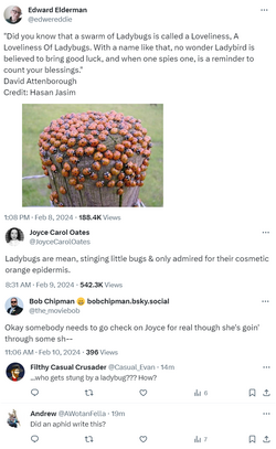 bugs.png