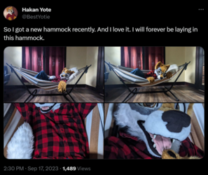 1707558353884.png