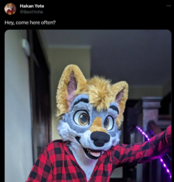 1707558519633.png
