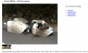 mother goose births rip van winkle.png