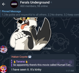 hakan2.png
