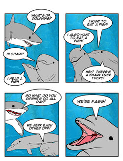 fag dolphins shark.jpg