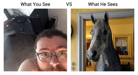 vaush - what you see vs.jpg
