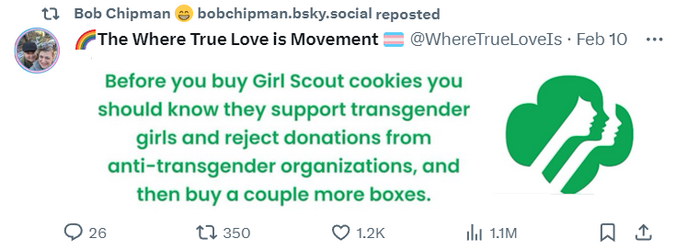 girlscout.png