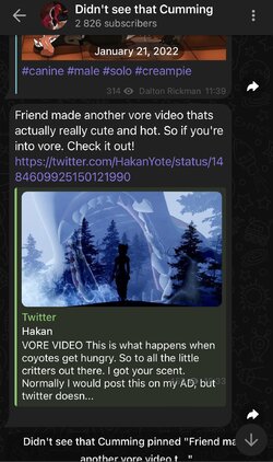 IMG_2526.jpeg