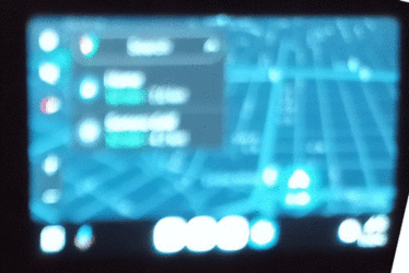 pig-grid.gif