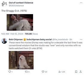 dog.jpg