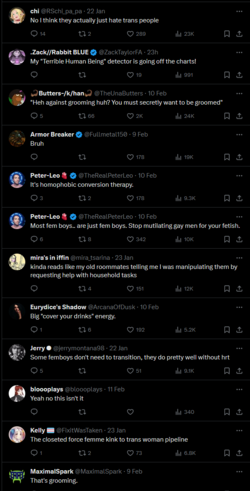 183xCNSV1 firefox.png