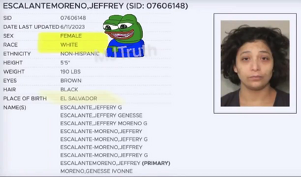 afsdfa.png